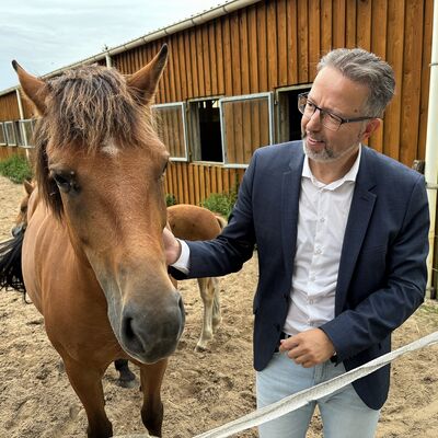 Pferde gehören zu den Attraktionen für Besucherinnen und Besucher des Hofes Grüneberg.