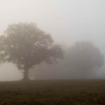 nebelige Landschaft