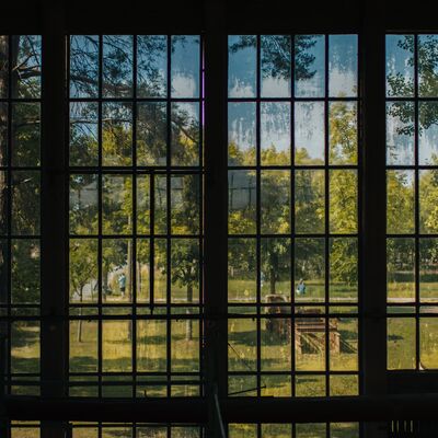Ein Blick in die Natur durch einzelne Fensterscheiben.