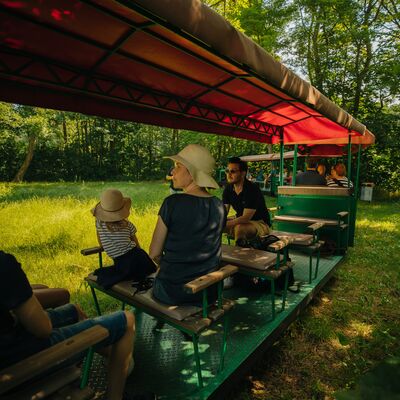 Ein Mann, eine Frau mit Strohhut und ein junges Mädchen mit Strohhut sitzen in einer überdachten Bahn.