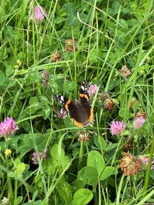 2025-07-28 PM Welttag des Naturschutzes c Mandy Oys