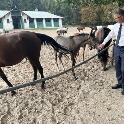 Ein Mann mit Anzug, Krawatte und weißem Hemd streichelt ein Pferd. Im Hintergrund zwei weitere Männer.
