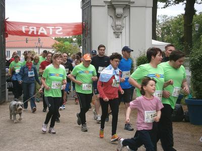 2. Spargellauf 2014_3