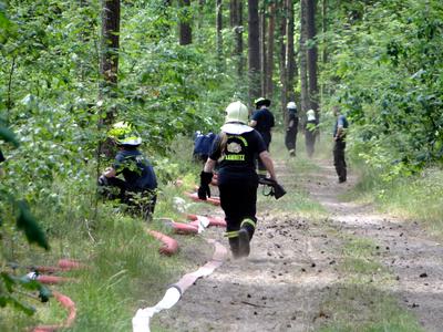 Gemeinsame Gro&szlig;&uuml;bung der Landkreise Oberhavel und Barnim: Feuerwehrleute &uuml;ben im Wald.