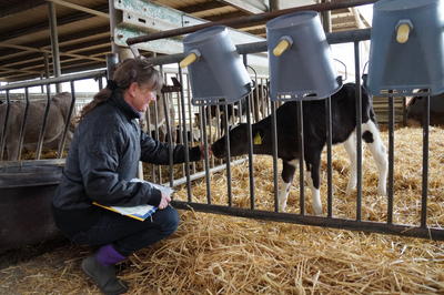 Bei der Landwirtschaftsausbildung wird die Praxis groß geschrieben