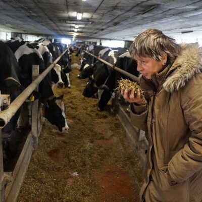 Praktische Ausbildung in der Landwirtschaftsschule