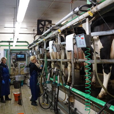 Praktische Ausbildung in der Landwirtschaftsschule