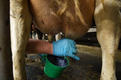 Praktische Ausbildung in der Landwirtschaftsschule