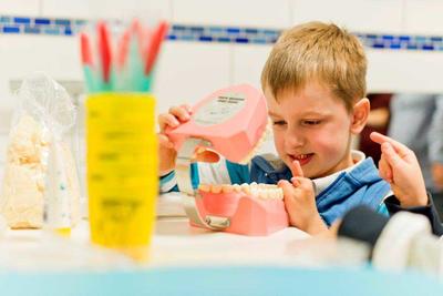 Gesunde Z&auml;hne - Prophylaxe in Kitas und Schulen