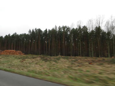 F&auml;llarbeiten an der Autobahn A 10