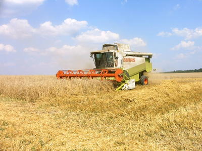 Mähdrescher bei der Ernte