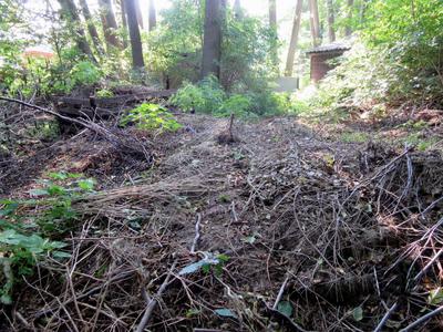 Illegale Ablagerung von Gr&uuml;nabf&auml;llen 