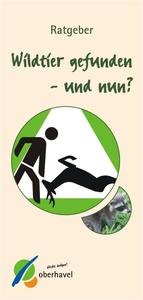 Flyer "Wildtier gefunden - und nun?"