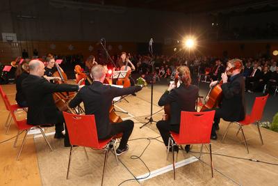 Kreismusiksch&uuml;ler