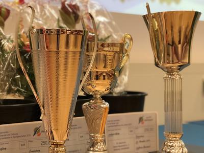 Wanderpokale im Sport