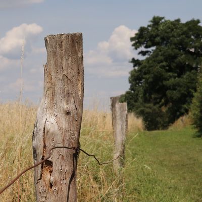 Landwirtschaft