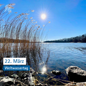 Weltwassertag