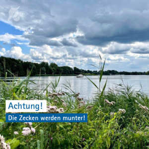 Achtung, die Zecken werden munter!