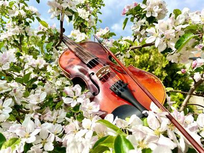 Frühlingskonzert der Kreismusikschule