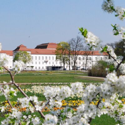 Schlosspark mit Schloss Oranienburg