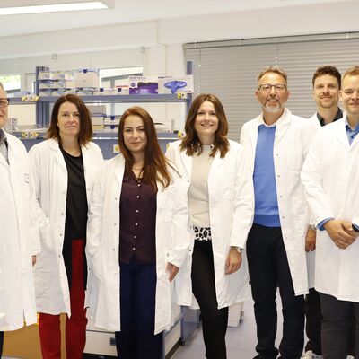 Im Labor der Biomarker Company Sphingotec: (von rechts) Dr. Tobias Hartmann, Direktor der Produktentwicklung, Laborleiter Axel Schulze mit Landrat Alexander Tönnies, Sphingotec-Geschäftsführerin Deborah Bergmann, Ruxandra Lenz, verantwortlich für Marketing und Kommunikation, sowie WInTO-Geschäftsführerin Claudia Flick und Hennigsdorfs Bürgermeister Thomas Günther.